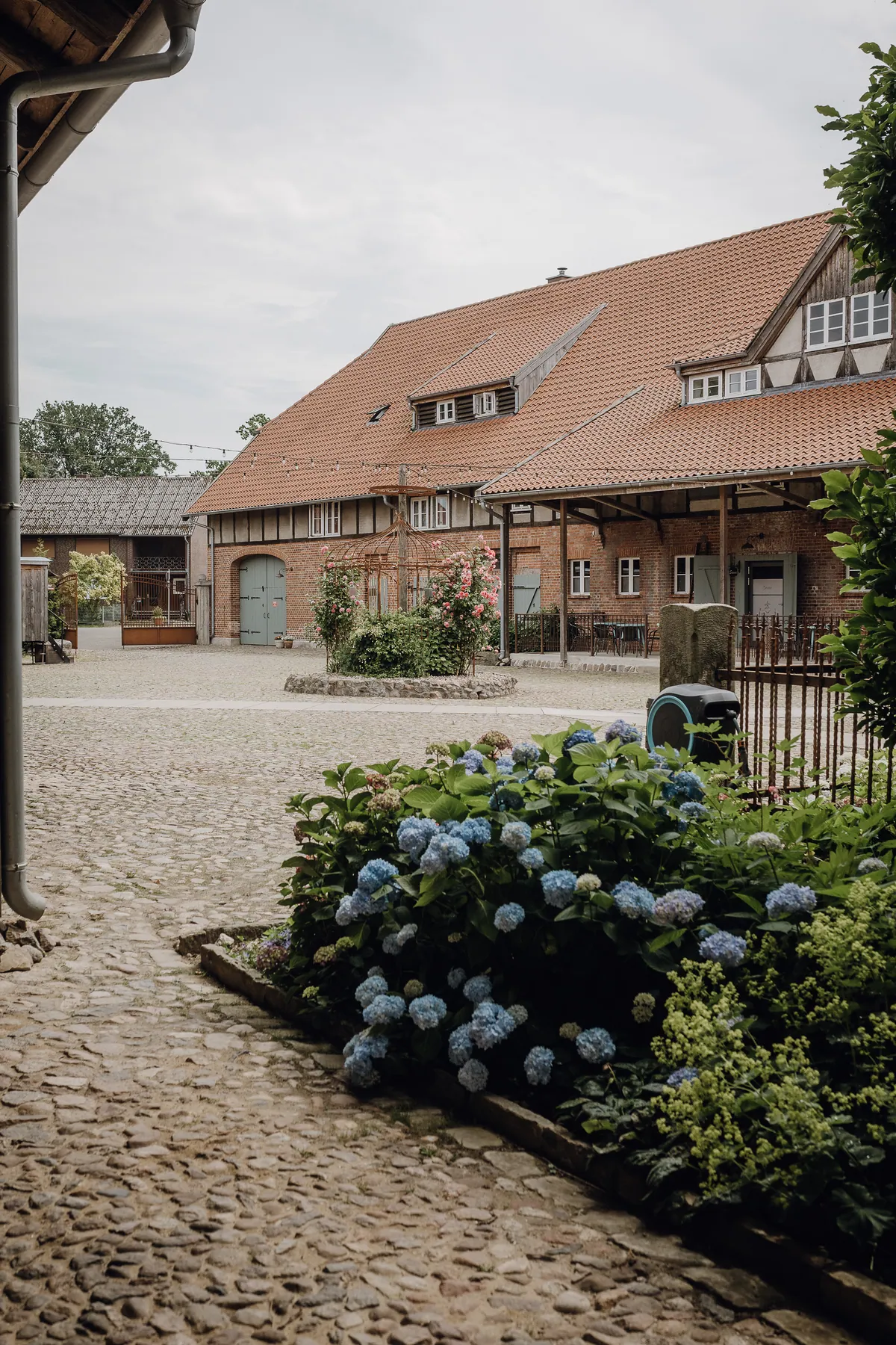 Blick über einen gepflasterten Hof auf ein Backstein-Fachwerkhaus mit rotem Ziegeldach, vorne blühen blaue Hortensien, in der Mitte Rosen.